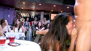 Hot amateurs are giving a blow job to the strippers before them