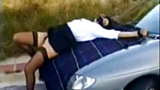 Dogging exhib used