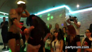 Peculiar nymphos get totally foolish and stripped at hardcore party