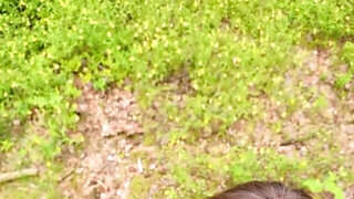 Going deep in the woods with his girlfriend and  banging her