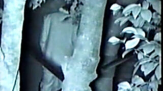 Park Hook-Up Night After Night