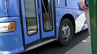Bus Line 1 N15