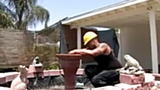 Ir arse ravaging mature dana devine