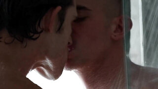 Beautiful dudes with hot torsos do naughty things together