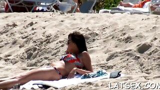 Adorable chick rides like a pro