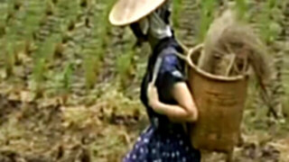 Japanese love story 138