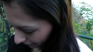 A brunette with a nice cunt is receiving a cock out in public