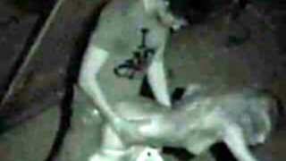 Fledgling Nightvision Outside Pound two