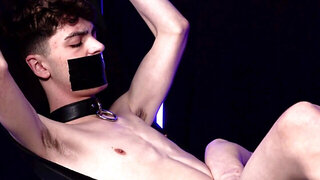 A gagged twink is getting his cock jerked and sucked