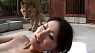 Risa Murakami- Pounding inwards lion cell