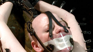 Bald girl is tied up and tortured in the BDSM dungeon