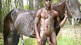 THE CHOCOLATE FACTORY #22 (BLACKSTALLION)