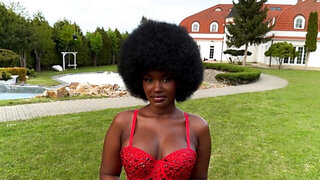 Lexi Luv loves white cock and public fucking as well