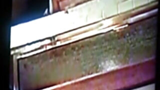 Malinda: Lisa's junior sister