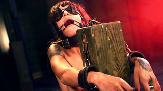 Tattooed brunette babe gets forced to suck cock